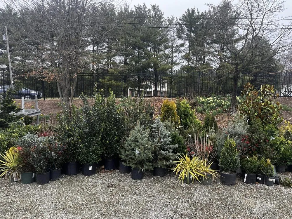 Custom lawn care service for outdoor upgrades in Frederick, MD by Blake's Landscaping