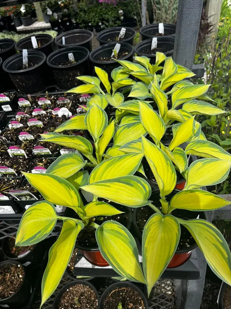 Trusted garden landscaping in Frederick, MD by Blake's Landscaping