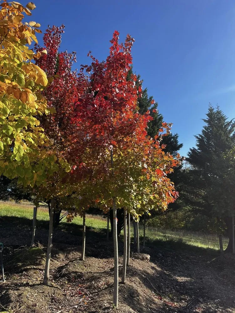 Top-rated lawn mowing service in Frederick, MD by Blake's Landscaping