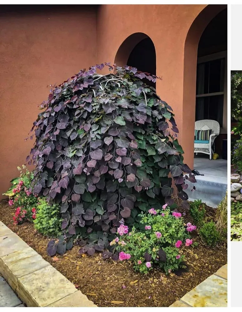 Affordable yard cleanup service with custom design across Frederick, MD - Blake's Landscaping