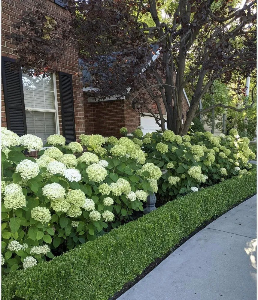 Trusted landscape design for year-round maintenance across Frederick, MD - Blake's Landscaping