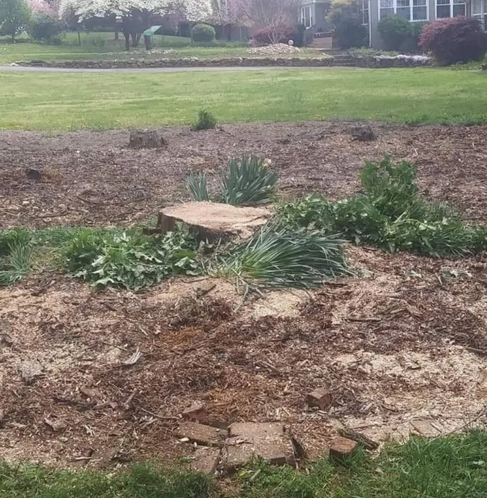 Custom yard cleanup service for year-round maintenance across Moneta, VA - Blake's Lawn Care and Tree Removal