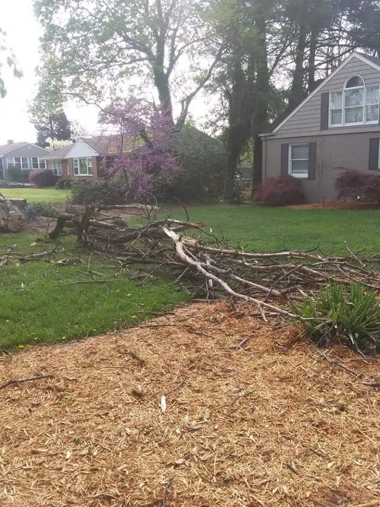 Custom landscaping services in Moneta, VA - Blake's Lawn Care and Tree Removal