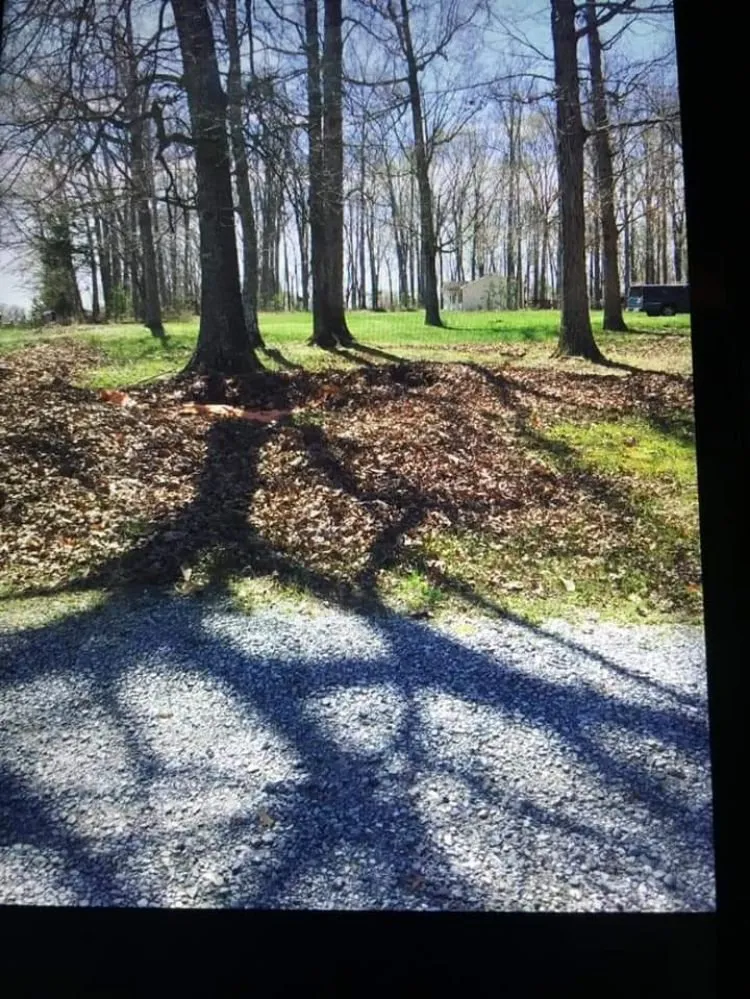 Expert landscape design in Moneta, VA by Blake's Lawn Care and Tree Removal