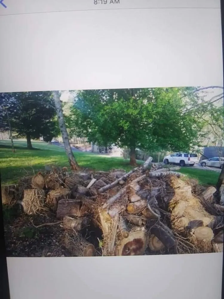 Local landscape installation in Moneta, VA by Blake's Lawn Care and Tree Removal