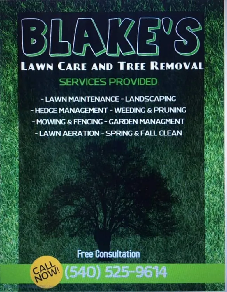 Reliable yard maintenance in Moneta, VA - Blake's Lawn Care and Tree Removal