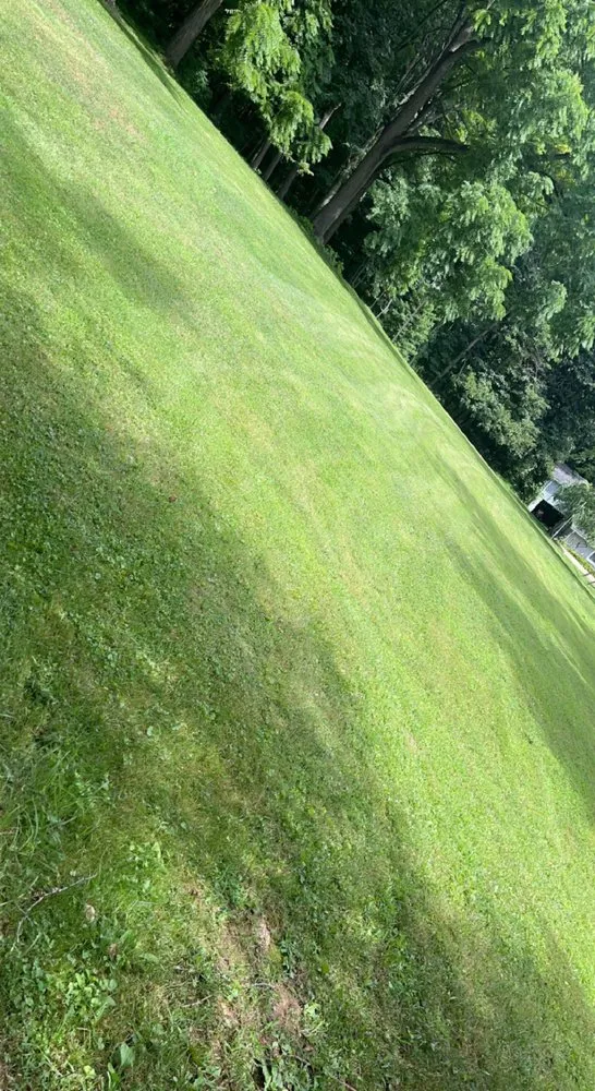 Affordable landscape design in Homer City, PA by Blake’s lawn care