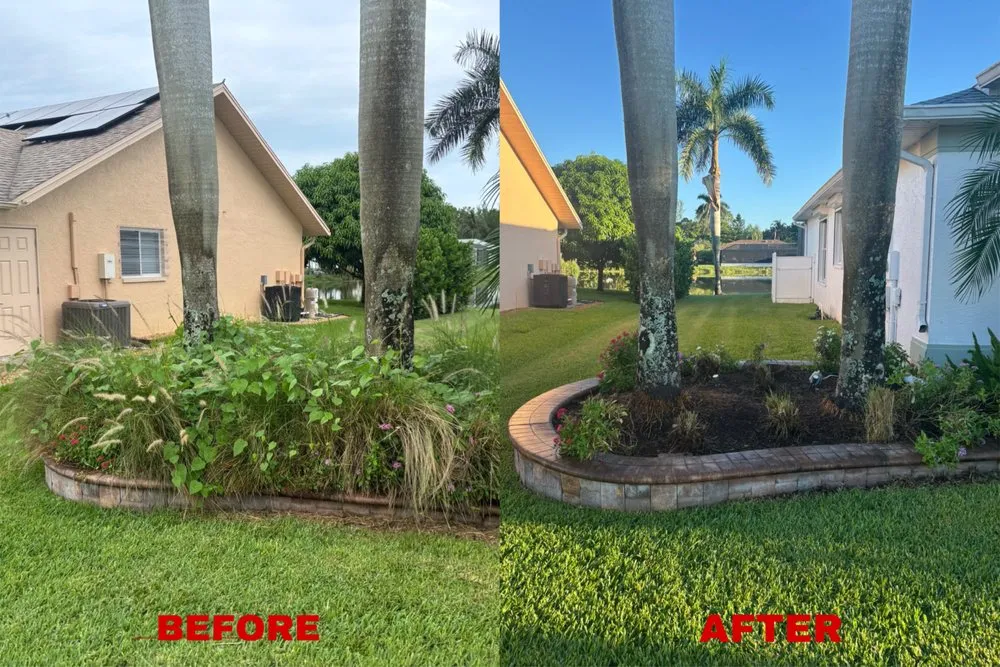 Top-rated landscaping services in Bonita Springs, FL - Blake’s Yard & Home Service’s
