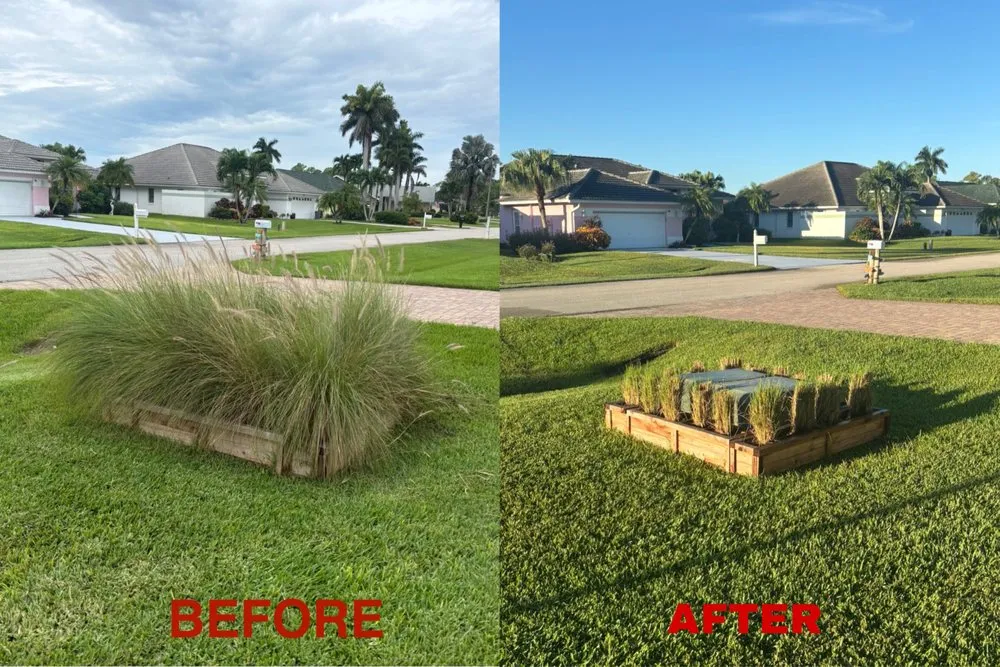 Custom outdoor landscaping experts serving Bonita Springs, FL - Blake’s Yard & Home Service’s
