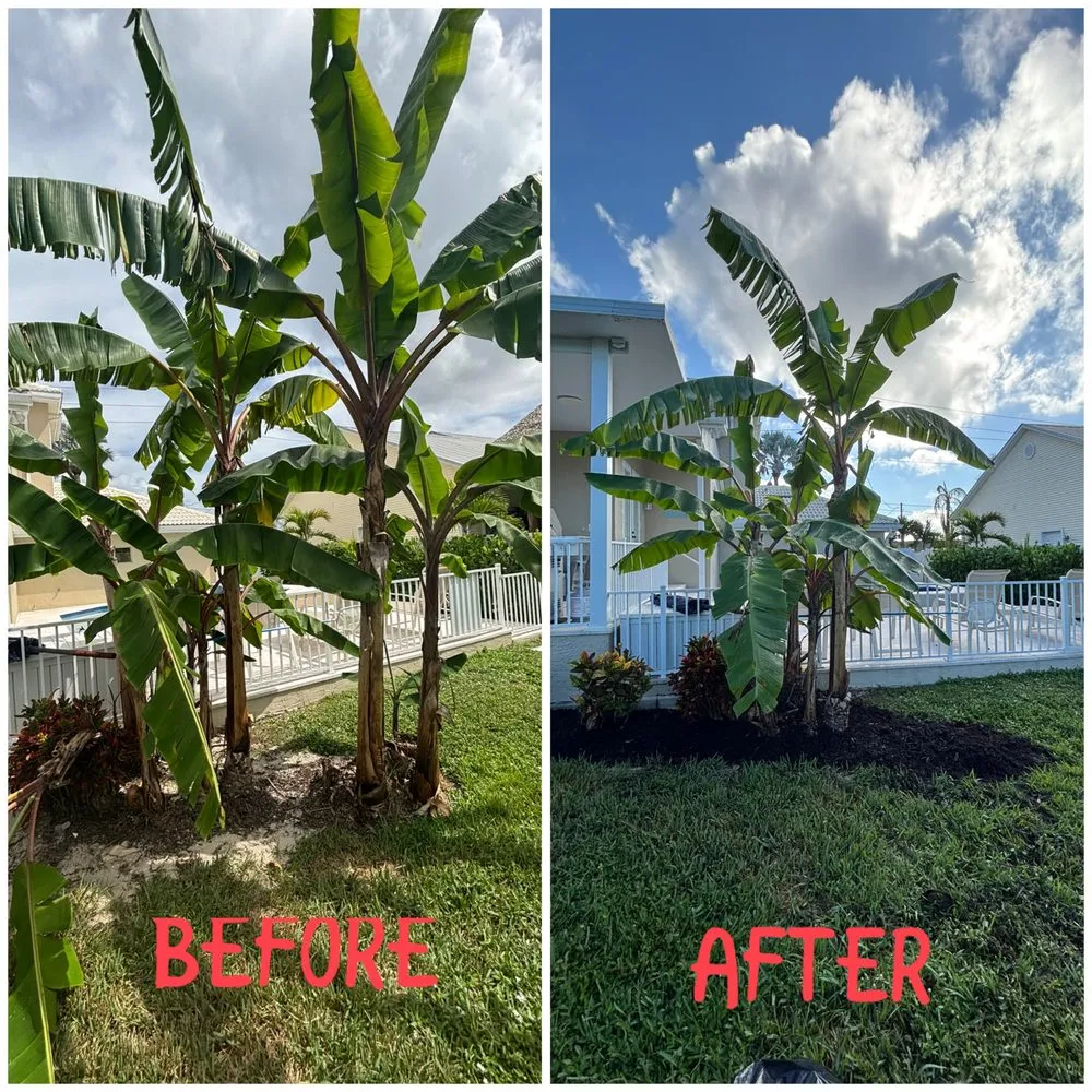 Local lawn mowing service in Bonita Springs, FL - Blake’s Yard & Home Service’s