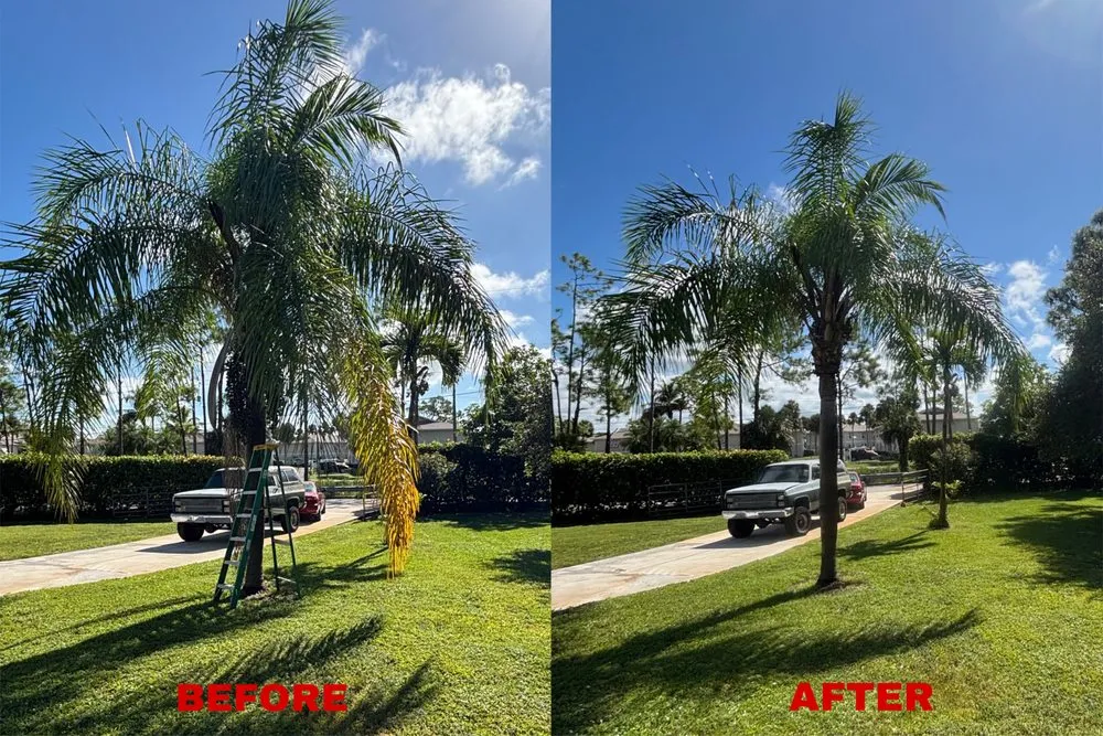 Affordable landscape design experts serving Bonita Springs, FL - Blake’s Yard & Home Service’s