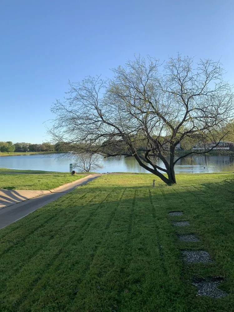 Expert yard cleanup service experts serving Corinth, TX - Blakeslawncare