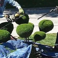 Top-rated yard maintenance in Calumet City, IL by Blakney Lawn Maintenance