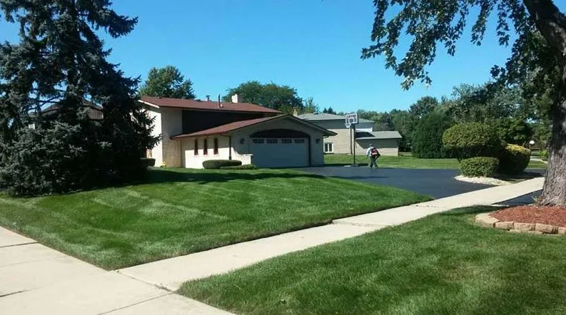 Custom yard maintenance in Calumet City, IL by Blakney Lawn Maintenance
