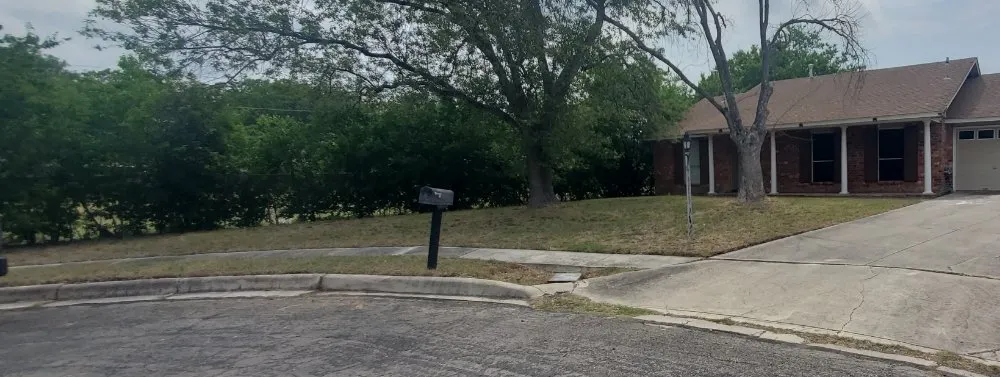 Expert yard maintenance for year-round maintenance in Converse, TX by Blanche Gardens