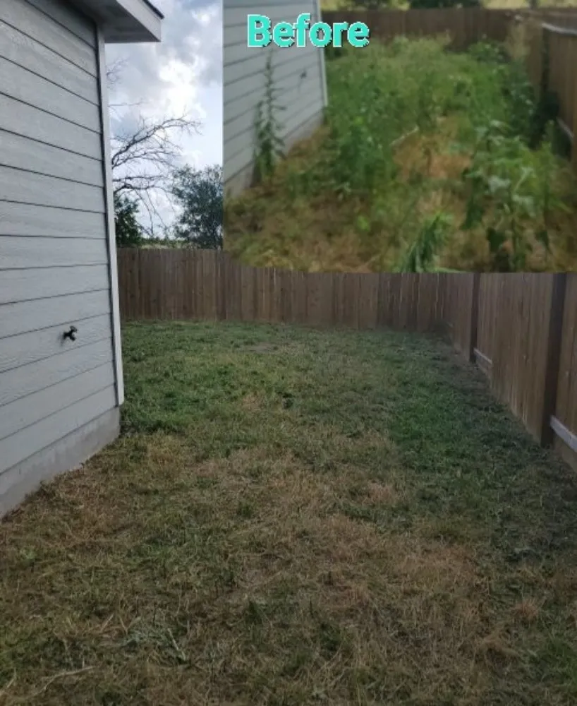 Trusted landscaping services in Converse, TX by Blanche Gardens