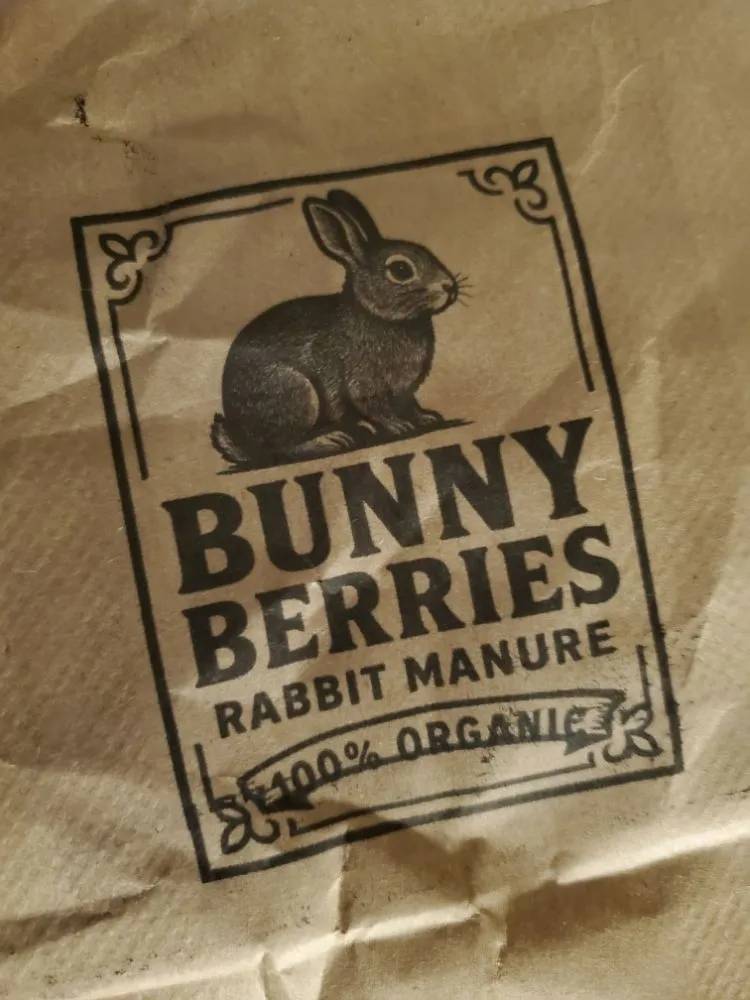 Professional lawn mowing service for year-round maintenance in Converse, TX by Blanche Gardens