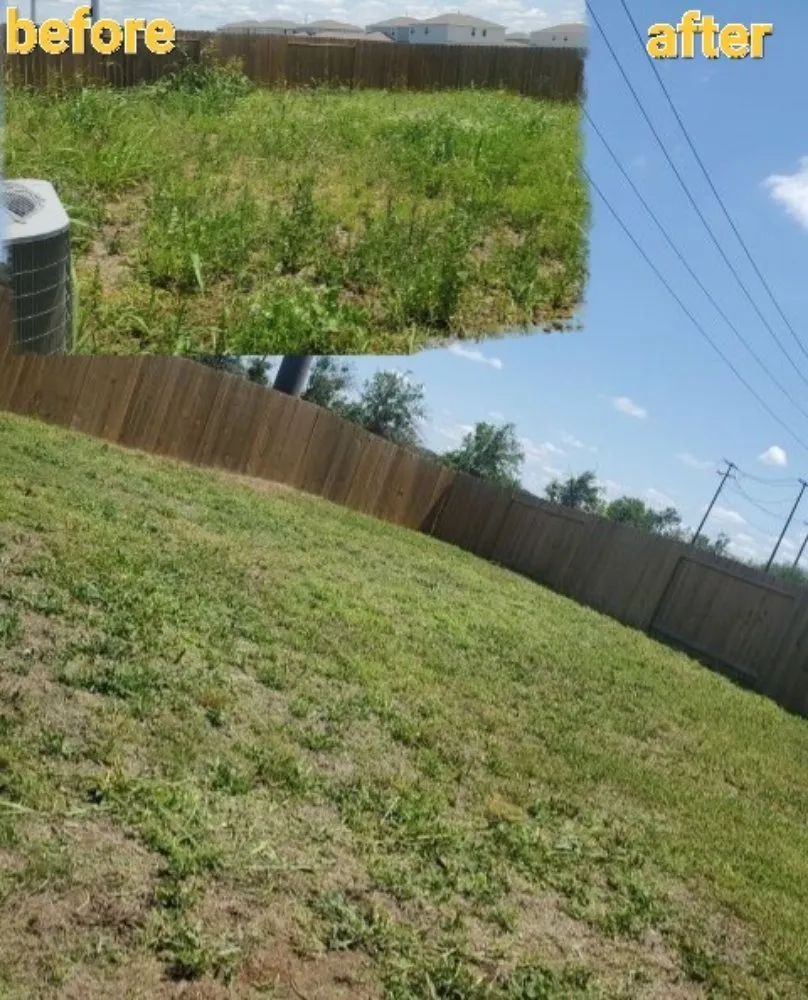 Top-rated yard cleanup service with custom design across Converse, TX - Blanche Gardens