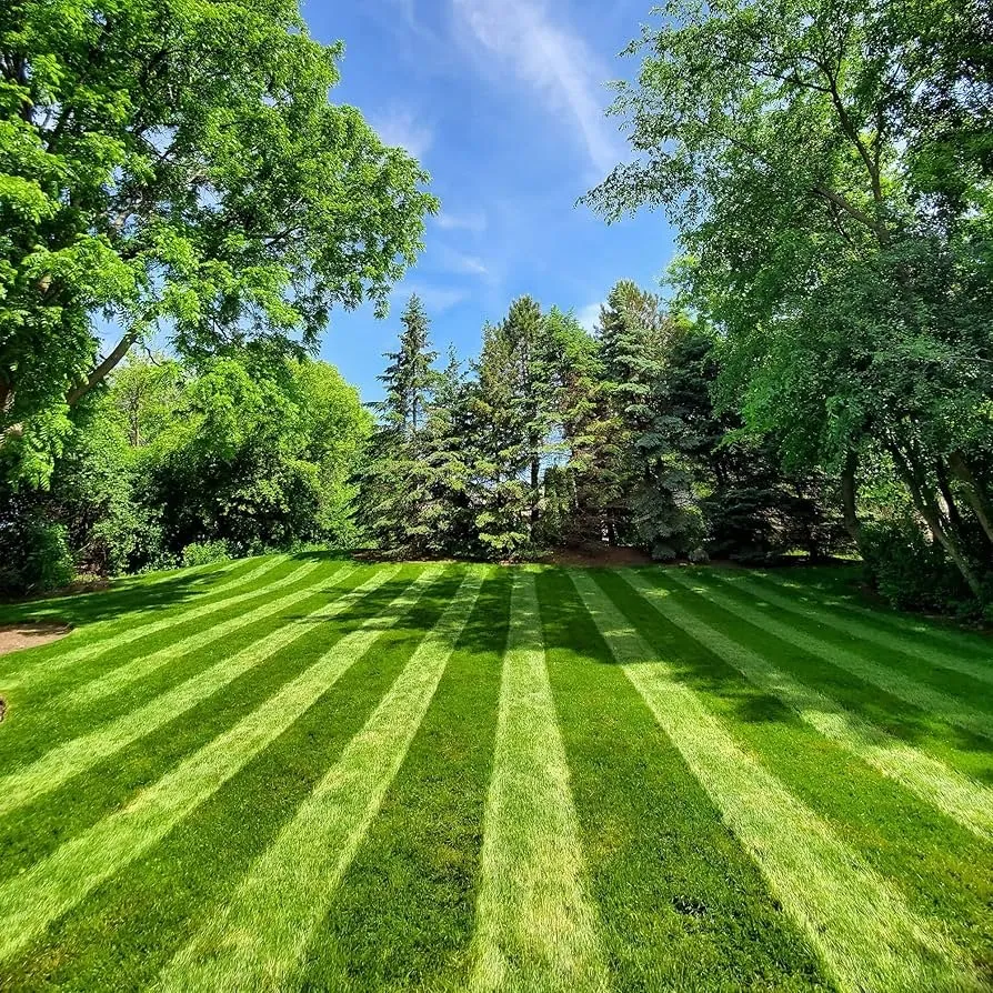 Local yard cleanup service for year-round maintenance in Oak Harbor, WA by Blanco Hardscape