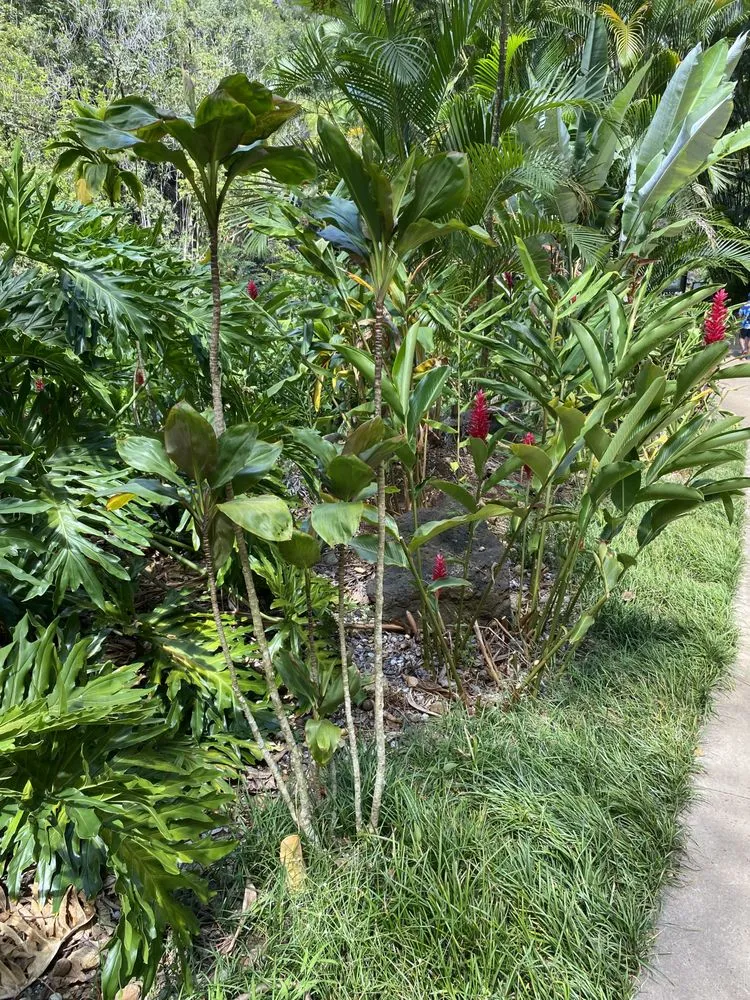 Affordable landscaping services in Torrance, CA - Blanco Hc Maintenance