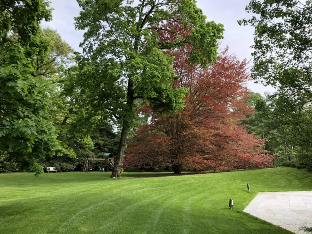 Reliable yard maintenance experts serving Westbury, NY - Blanco's Landscape Designs