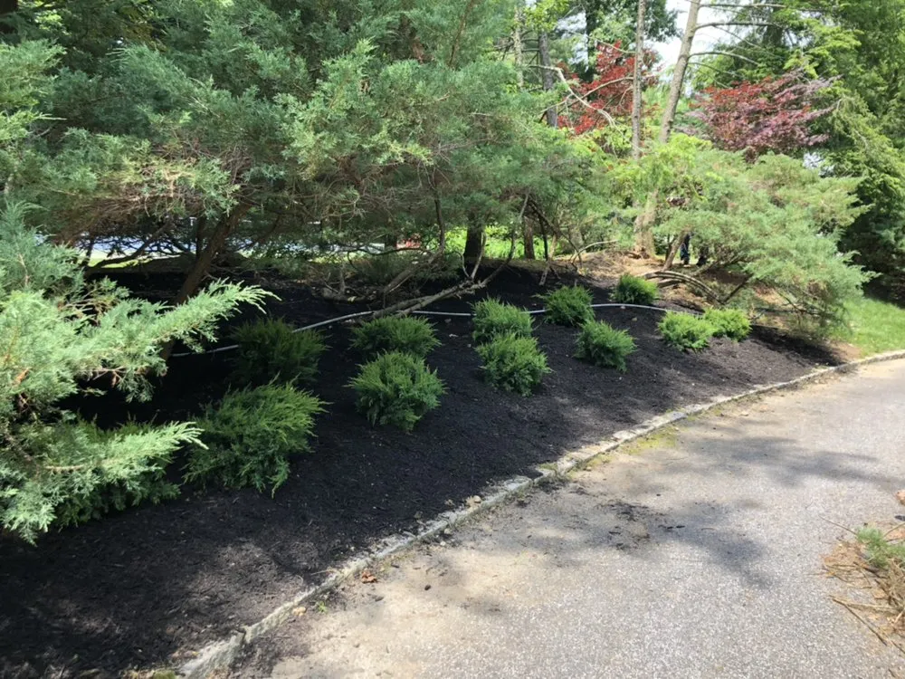 Top-rated garden landscaping experts serving Westbury, NY - Blanco's Landscape Designs