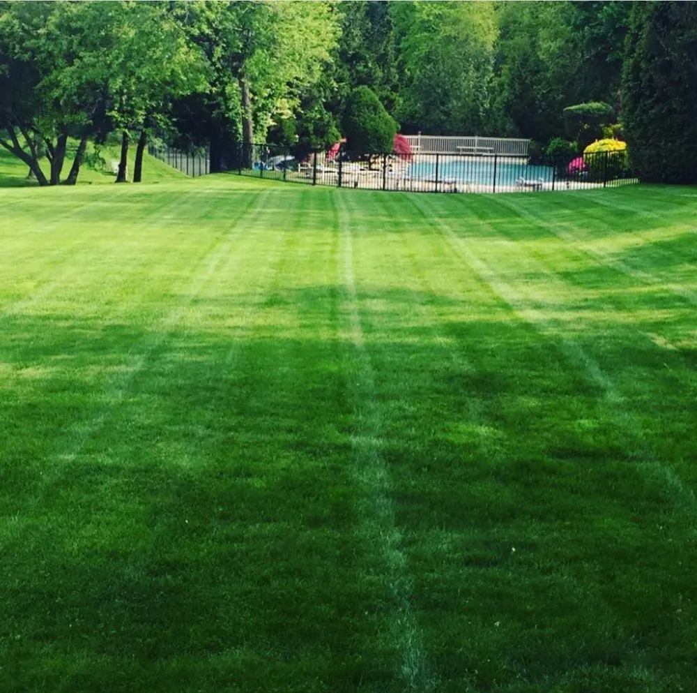 Reliable landscaping services with custom design across Westbury, NY - Blanco's Landscape Designs