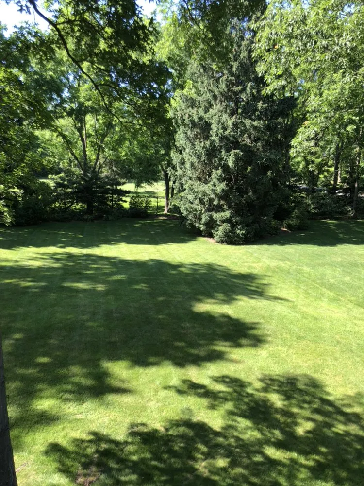 Trusted yard cleanup service in Westbury, NY - Blanco's Landscape Designs