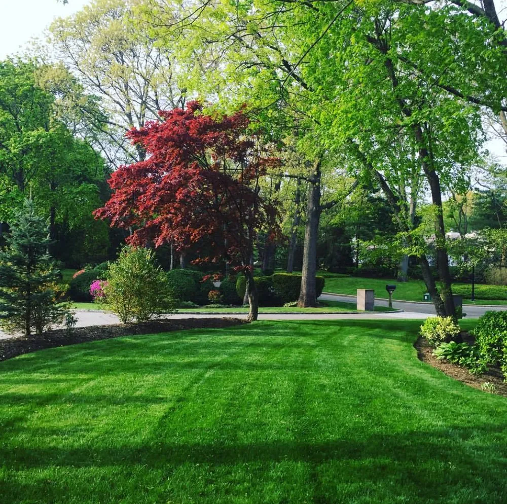 Top-rated outdoor landscaping near you across Westbury, NY - Blanco's Landscape Designs