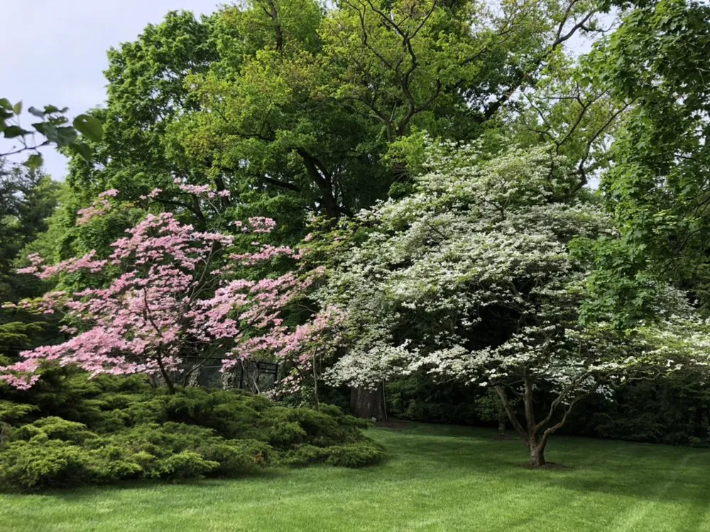 Top-rated landscape design experts serving Westbury, NY - Blanco's Landscape Designs