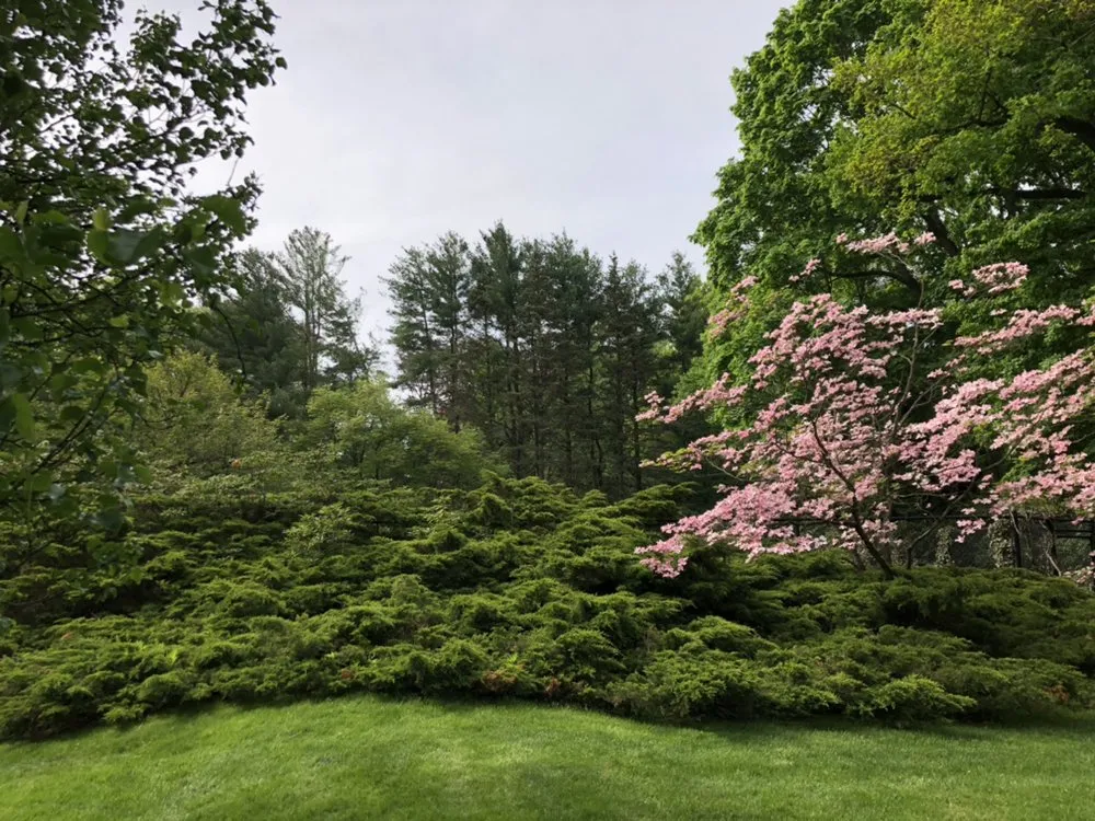 Professional landscaping services experts serving Westbury, NY - Blanco's Landscape Designs