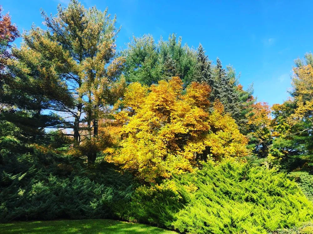 Local landscape design near you across Westbury, NY - Blanco's Landscape Designs