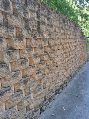 Bland Innovations Logo