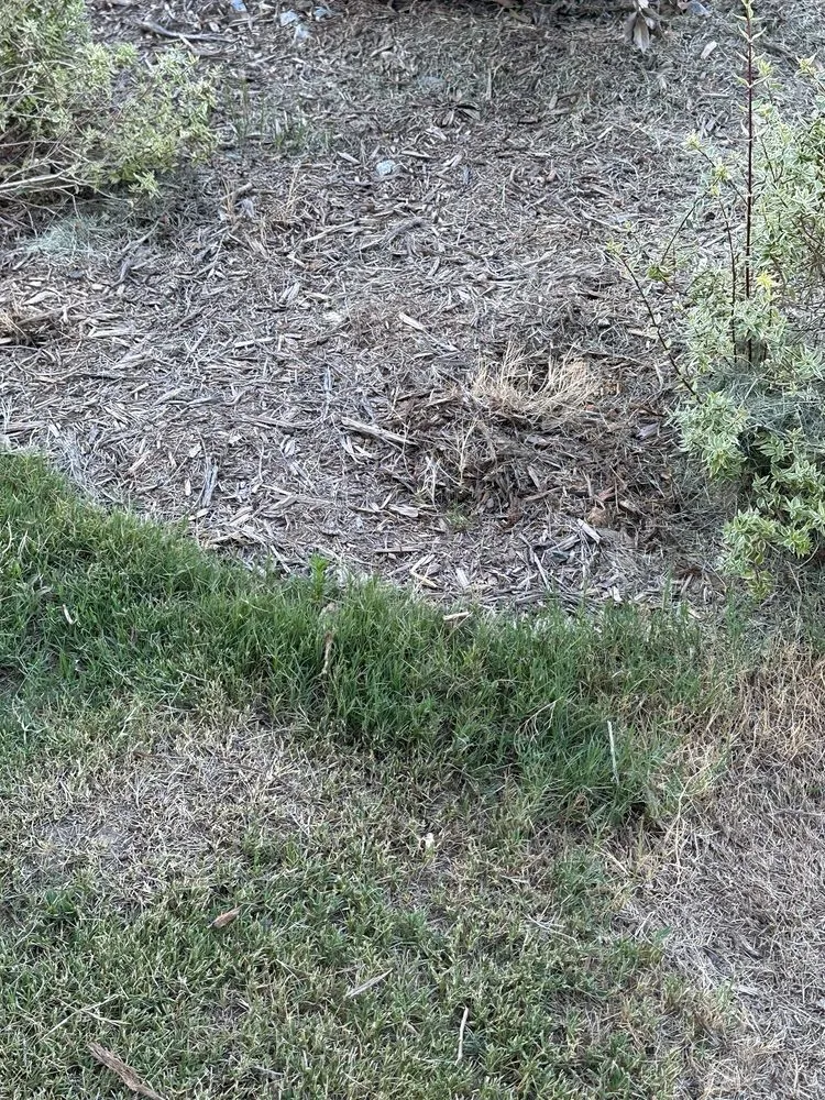 Custom garden landscaping for residential properties in Apex, NC by Bland Landscaping