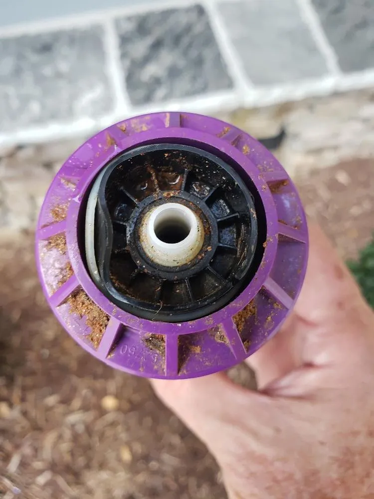 Top-rated outdoor landscaping experts serving Apex, NC - Bland Landscaping