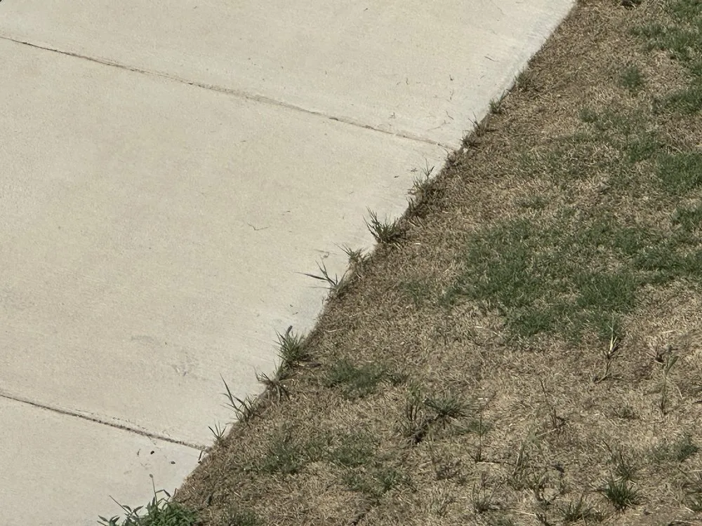 Expert outdoor landscaping for outdoor upgrades across Apex, NC - Bland Landscaping