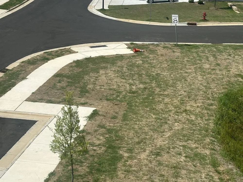 Trusted lawn mowing service experts serving Apex, NC - Bland Landscaping