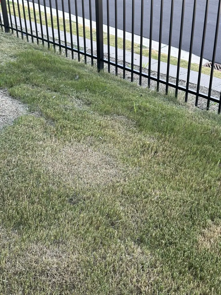 Top-rated lawn care service for outdoor upgrades across Apex, NC - Bland Landscaping