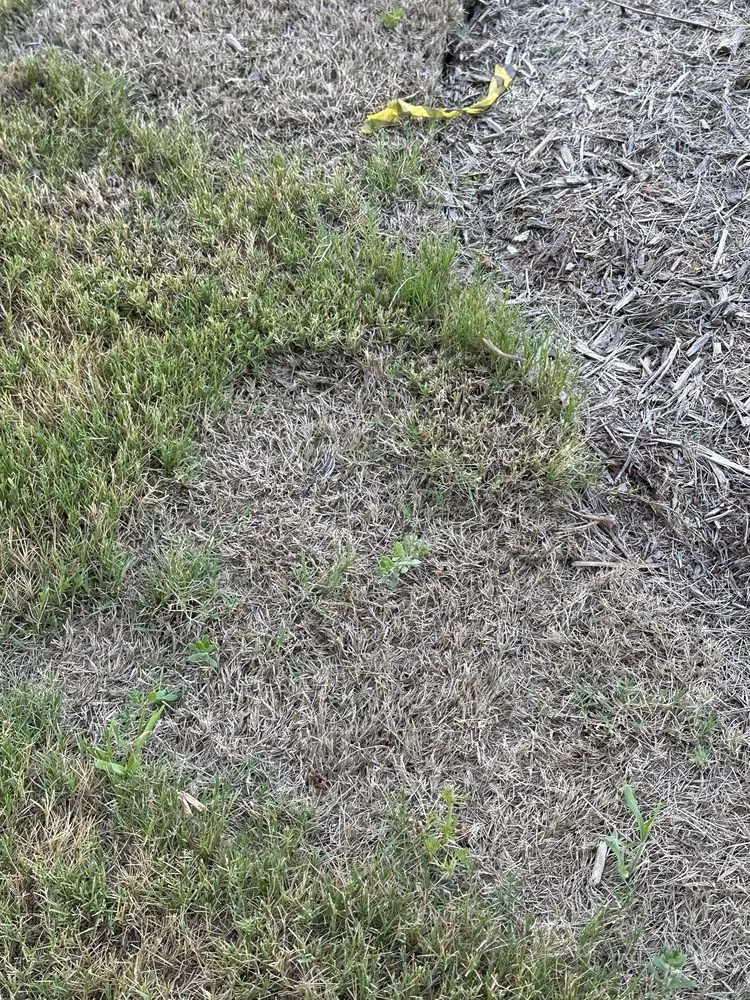 Reliable outdoor landscaping in Apex, NC - Bland Landscaping