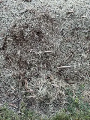 Bland Landscaping Logo