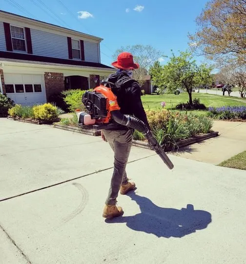 Affordable residential landscaping in Virginia Beach, VA - Blanding's Lawn Care