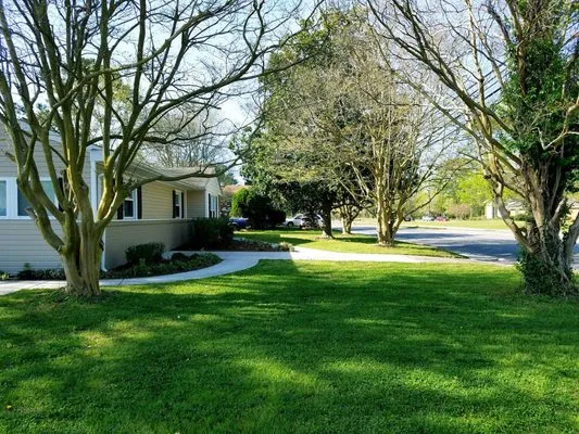 Blanding's Lawn Care Logo