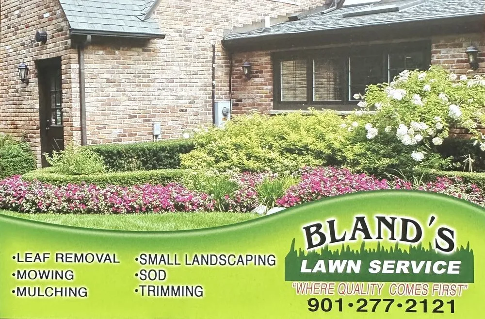 Professional yard cleanup service for residential properties across Memphis, MS - Bland's Lawn Service