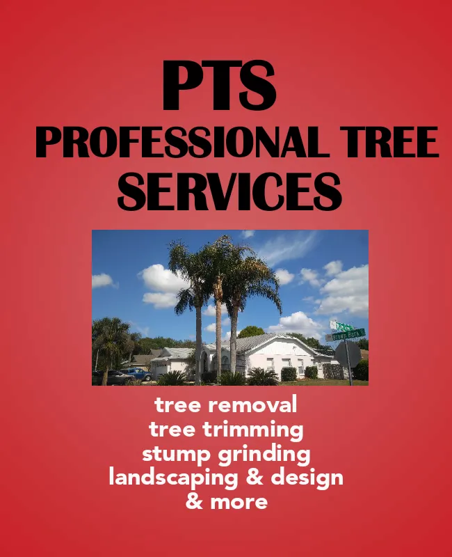 Reliable yard maintenance near you in Haines City, FL by Blands Tree Services