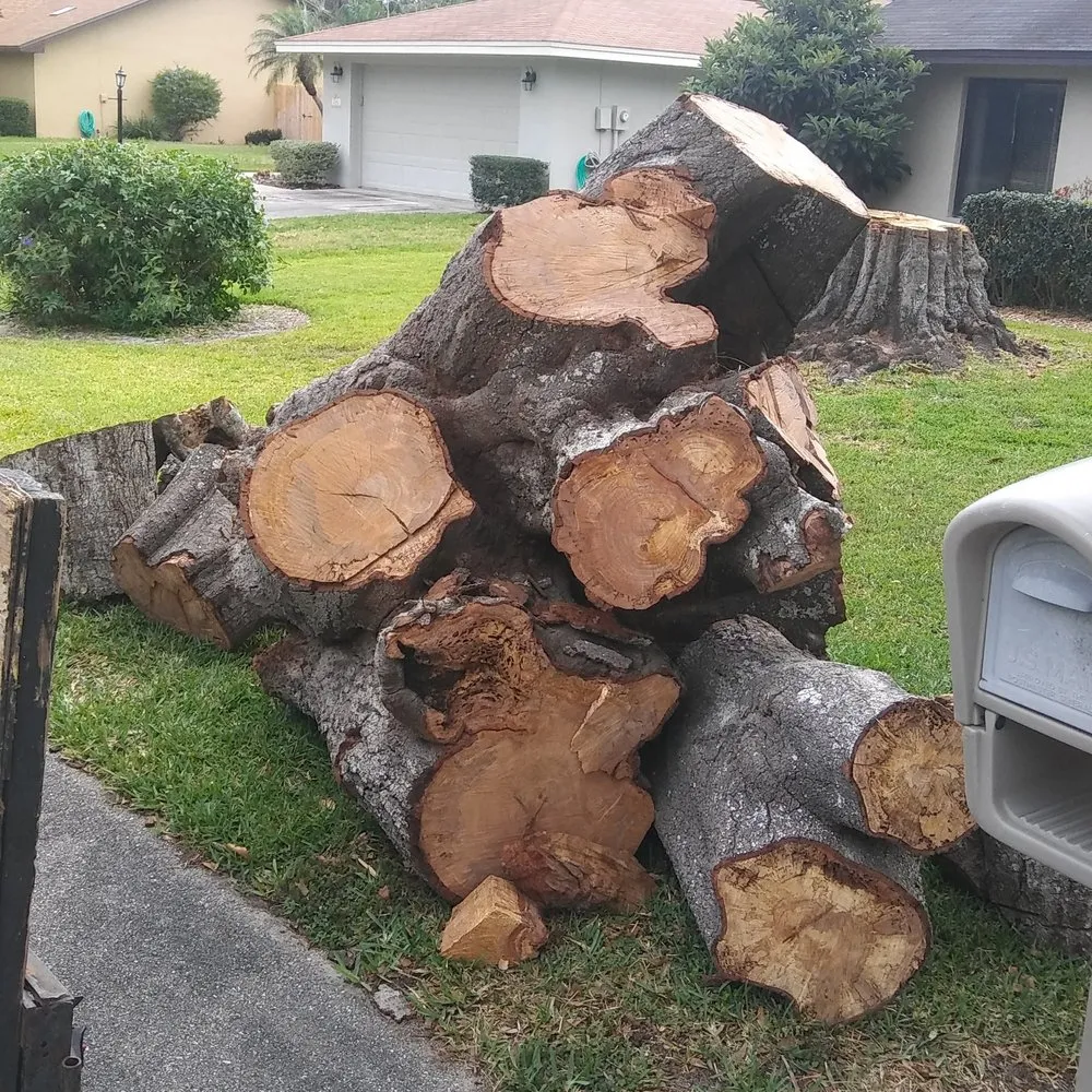 Professional garden landscaping near you in Haines City, FL by Blands Tree Services