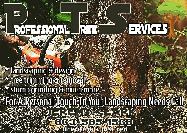 Custom yard cleanup service in Haines City, FL by Blands Tree Services