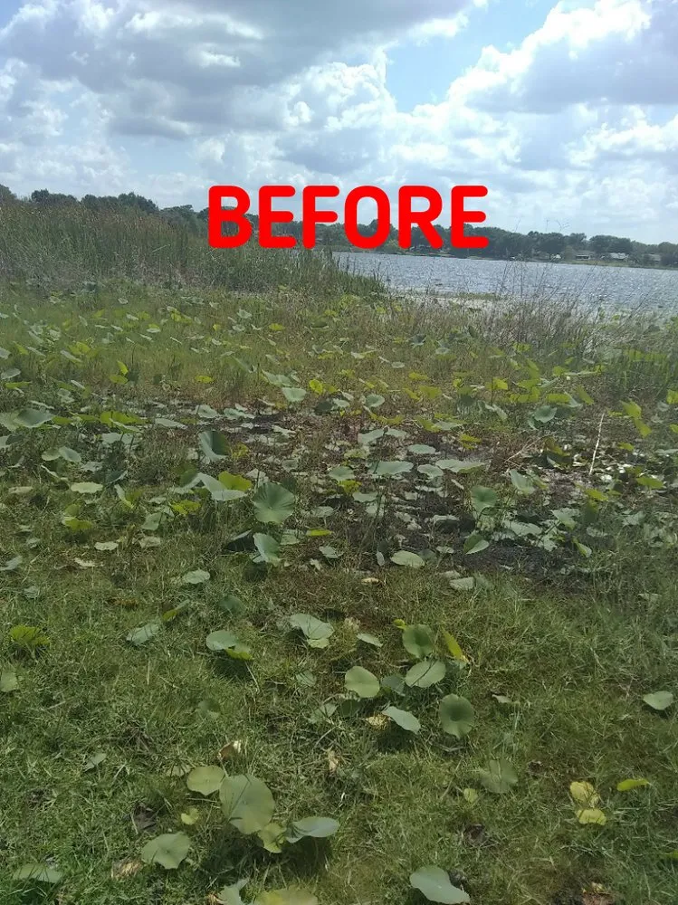 Local outdoor landscaping experts serving Haines City, FL - Blands Tree Services