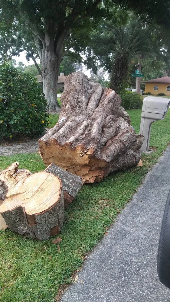 Trusted lawn care service experts serving Haines City, FL - Blands Tree Services