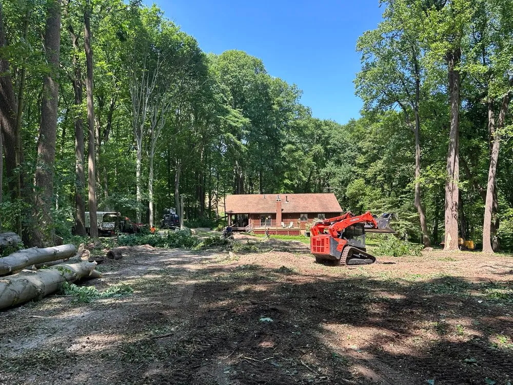 Local landscape installation for residential properties in Colora, MD by Blanford's Tree Service