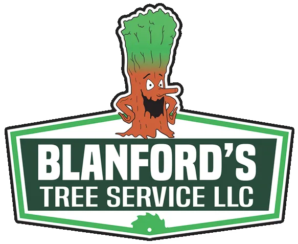 Custom lawn mowing service experts serving Colora, MD - Blanford's Tree Service